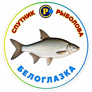 МАГНІТИ ДРІБНІ РИБИ