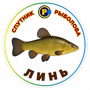 МАГНІТИ ДРІБНІ РИБИ