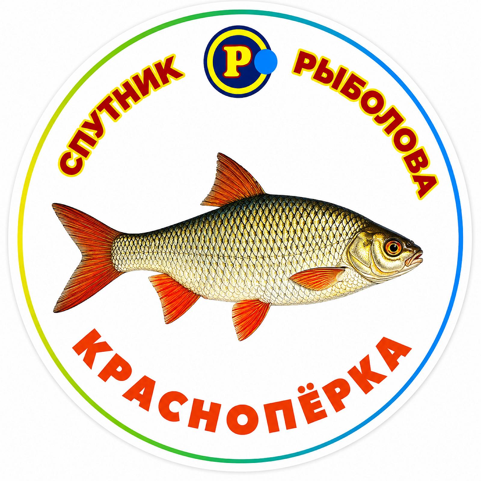 МАГНІТИ ДРІБНІ РИБИ