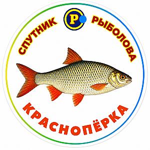МАГНІТИ ДРІБНІ РИБИ