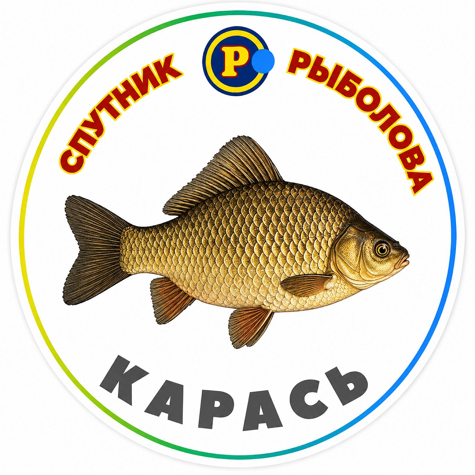 МАГНІТИ ДРІБНІ РИБИ