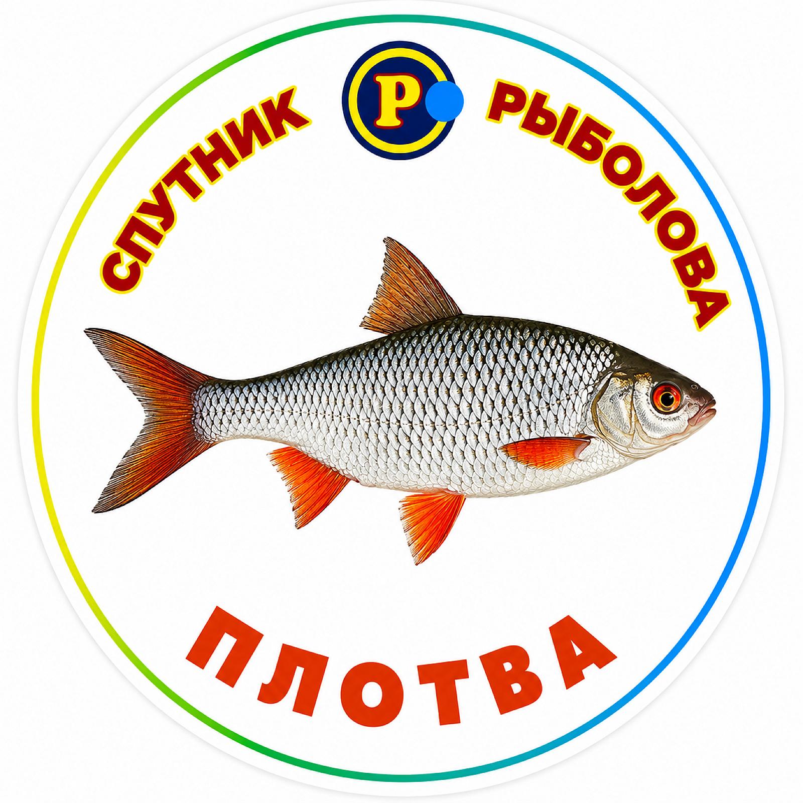 МАГНІТИ ДРІБНІ РИБИ