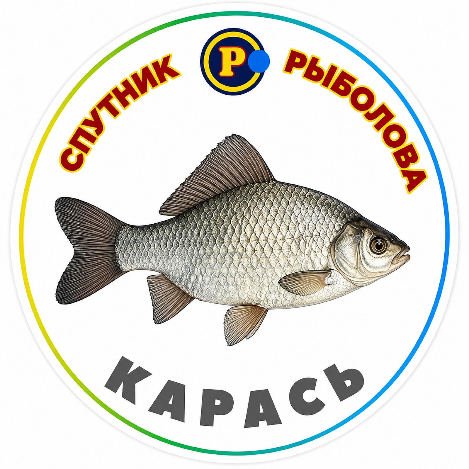 МАГНІТИ ДРІБНІ РИБИ