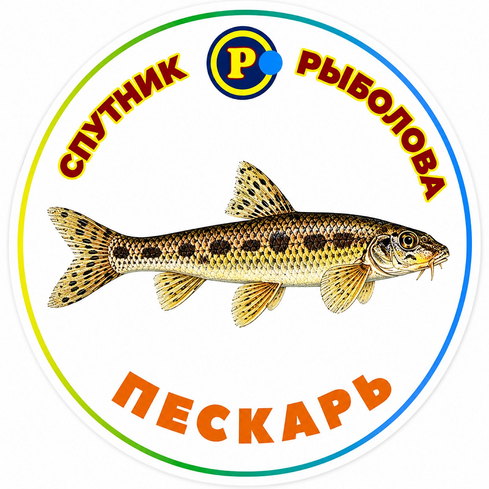 МАГНІТИ ДРІБНІ РИБИ