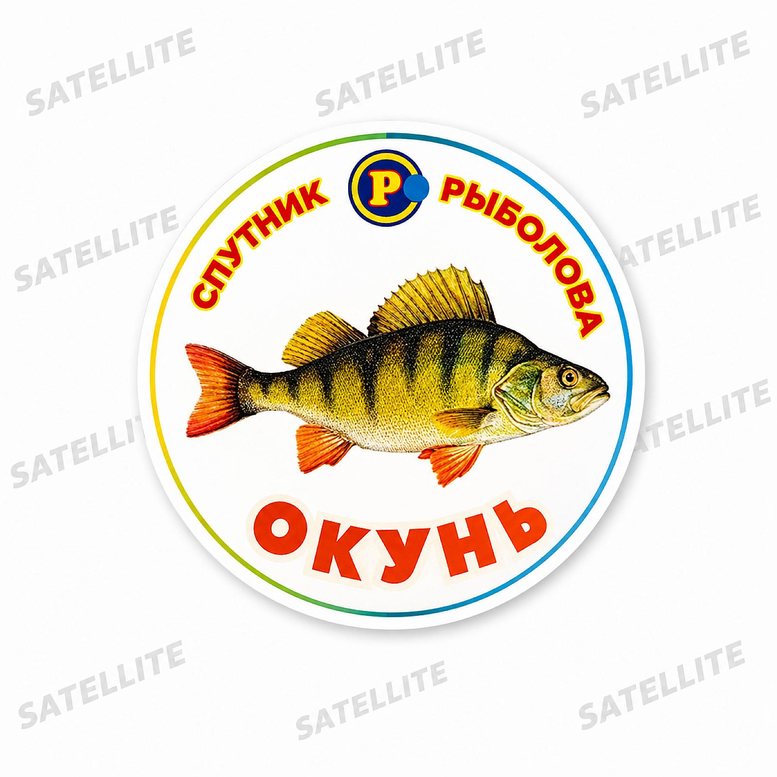 МАГНІТИ ХИЖІ РИБИ