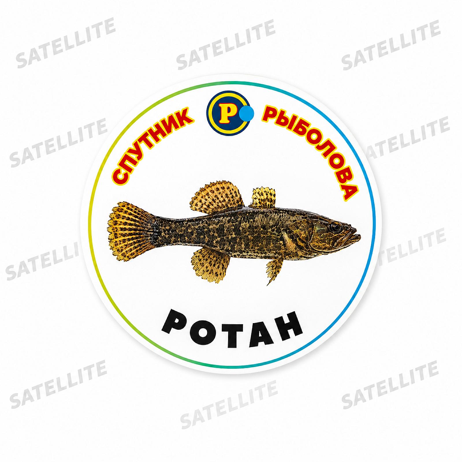 МАГНІТИ ХИЖІ РИБИ