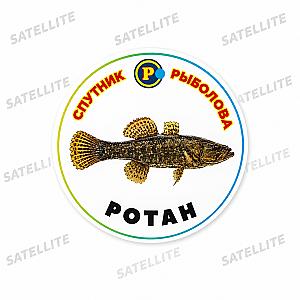 МАГНІТИ ХИЖІ РИБИ