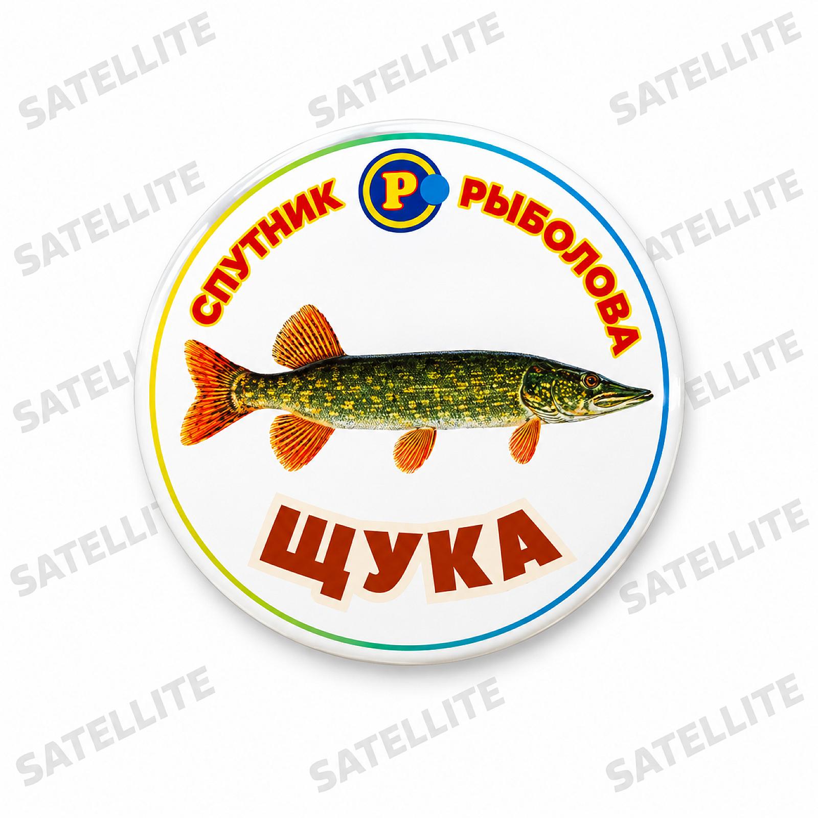 МАГНІТИ ХИЖІ РИБИ