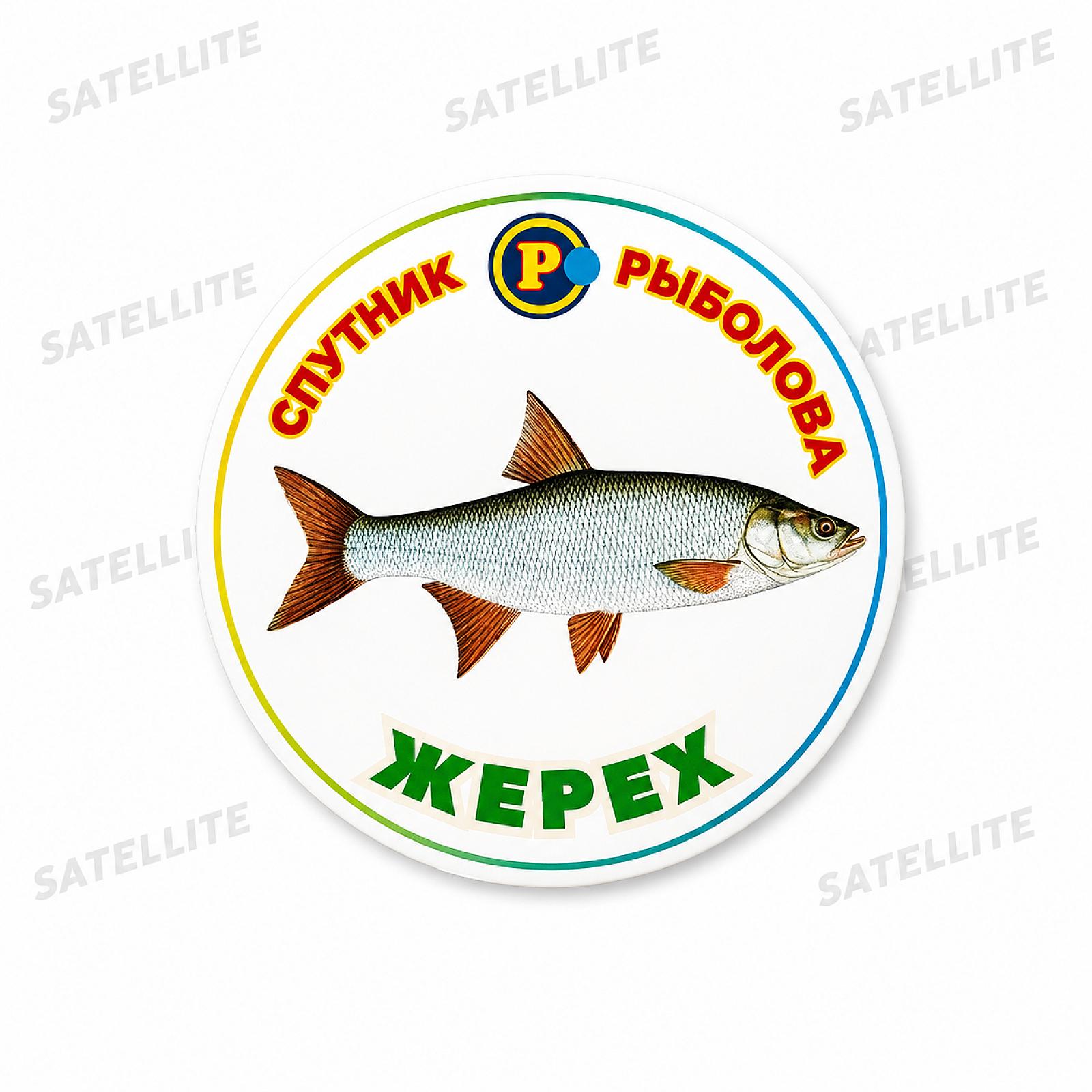 МАГНІТИ ХИЖІ РИБИ
