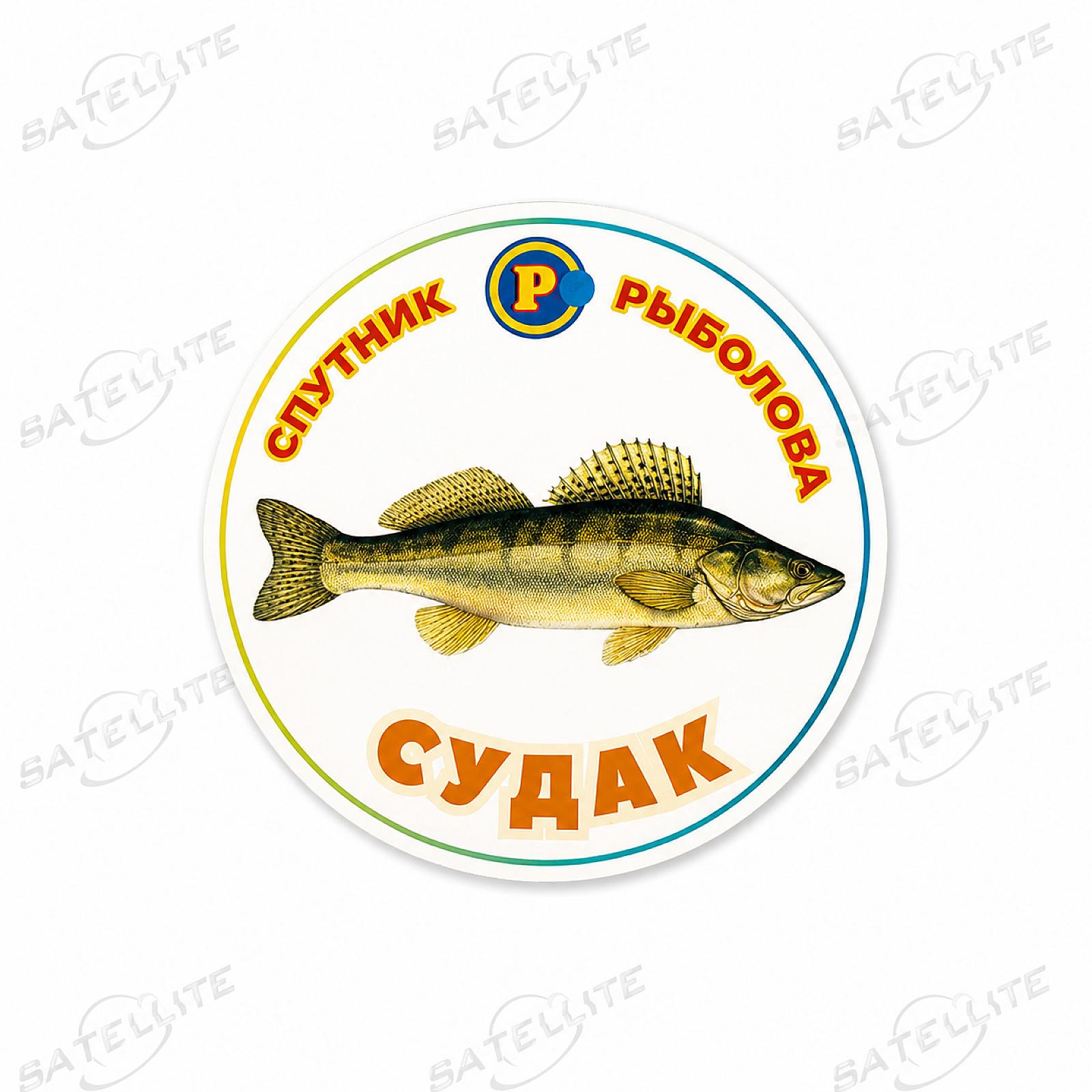 МАГНІТИ ХИЖІ РИБИ