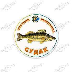 МАГНІТИ ХИЖІ РИБИ