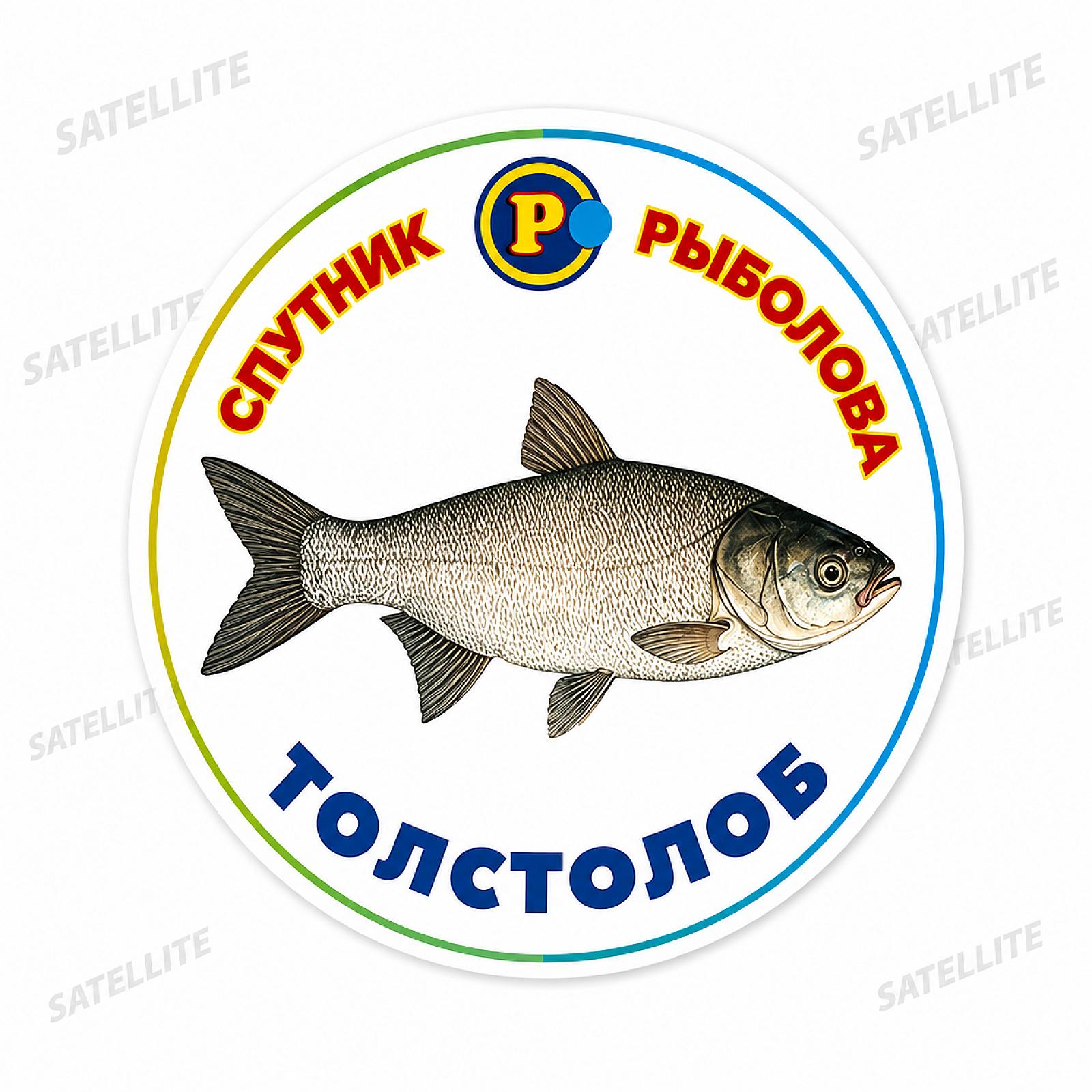 МАГНІТИ ТРОФЕЙНІ РИБИ