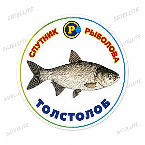 МАГНІТИ ТРОФЕЙНІ РИБИ