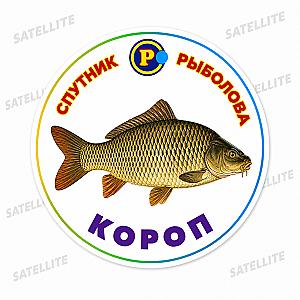МАГНІТИ ТРОФЕЙНІ РИБИ