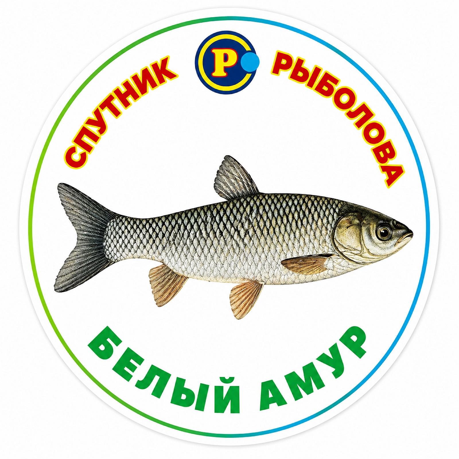 МАГНІТИ ТРОФЕЙНІ РИБИ