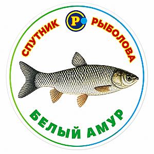 МАГНІТИ ТРОФЕЙНІ РИБИ