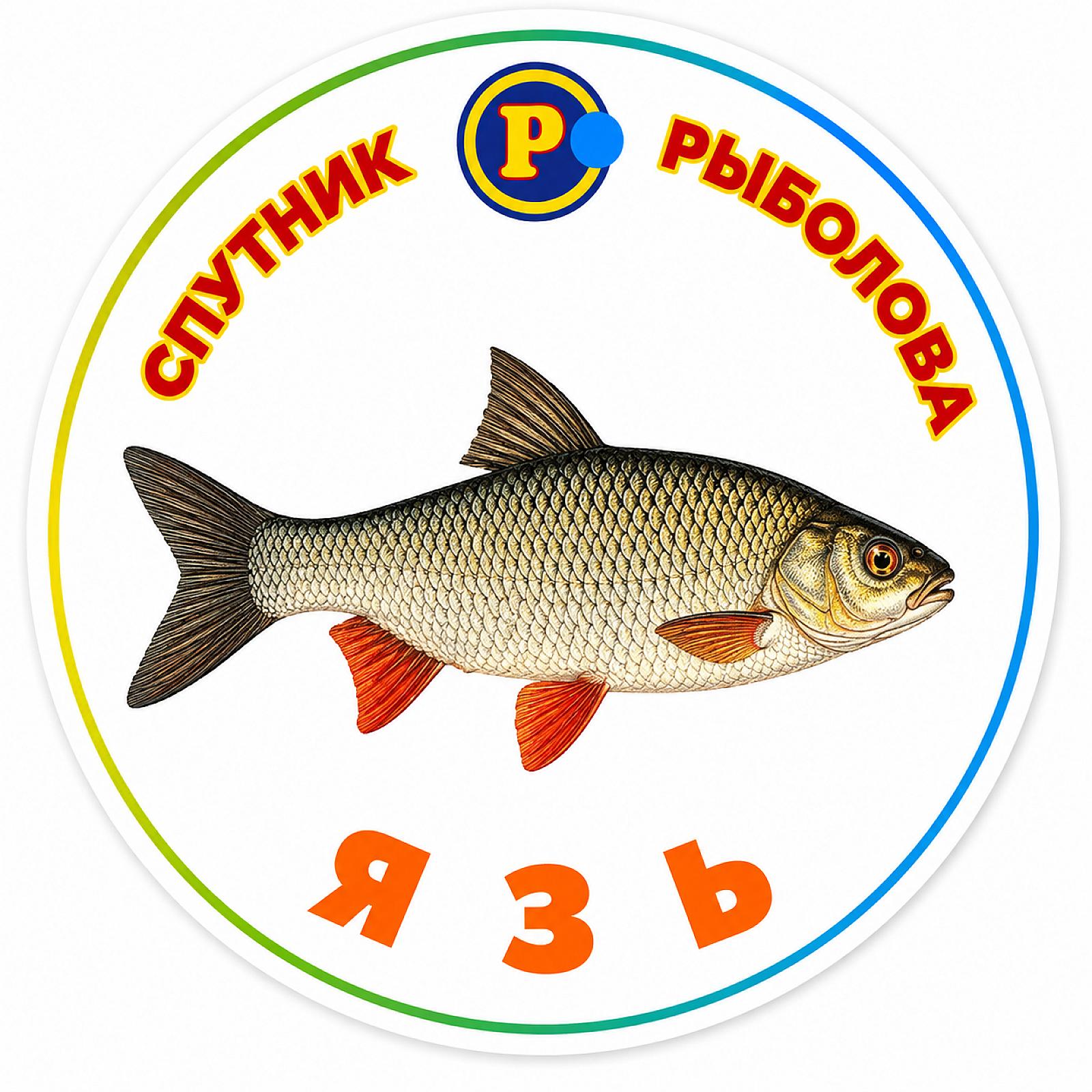 МАГНІТИ ТРОФЕЙНІ РИБИ