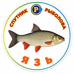 МАГНІТИ ТРОФЕЙНІ РИБИ
