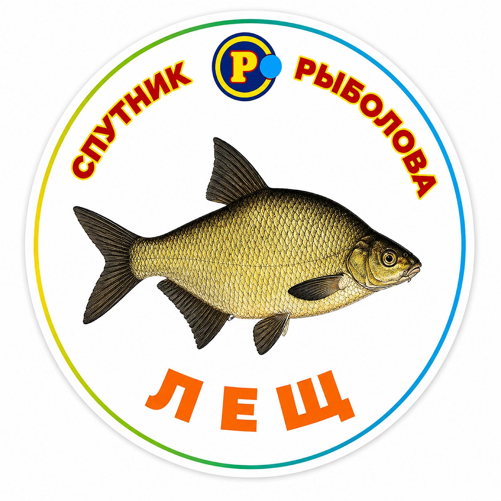 МАГНІТИ ТРОФЕЙНІ РИБИ