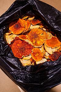 МУХОМОР ЧЕРВОНИЙ - КАПЕЛЮШКИ РОЗКРИТІ