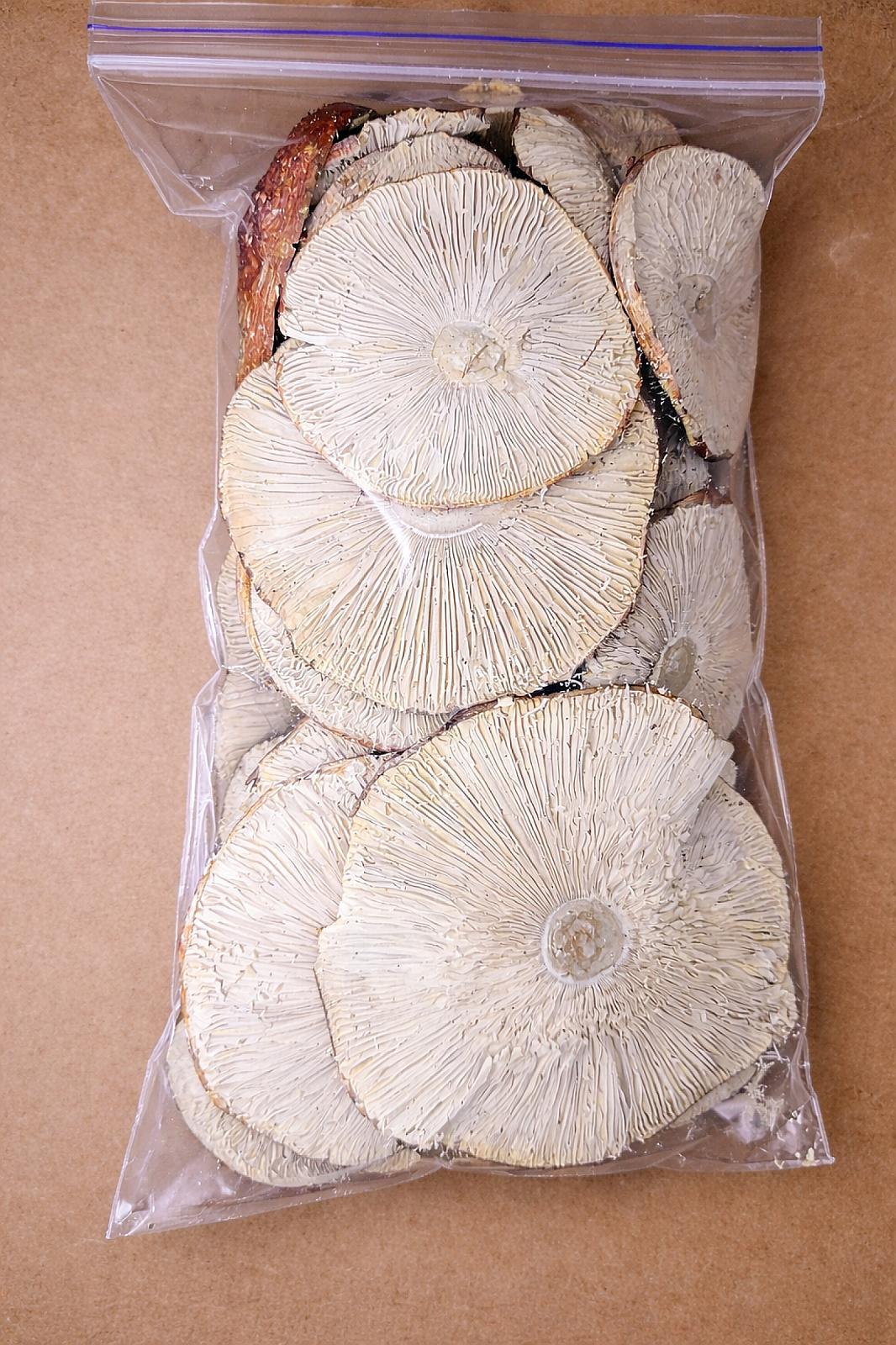 МУХОМОР ЧЕРВОНИЙ-КАПЕЛЮШКИ РОЗКРИТІ-50+5(бонус)грм