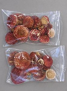 МУХОМОР ЧЕРВОНИЙ-КАПЕЛЮШКИ НЕРОЗКРИТІ-50+5(бонус)грм