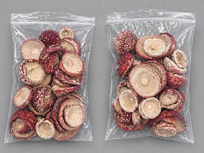 МУХОМОР ЧЕРВОНИЙ-КАПЕЛЮШКИ НЕРОЗКРИТІ-50+5(бонус)грм