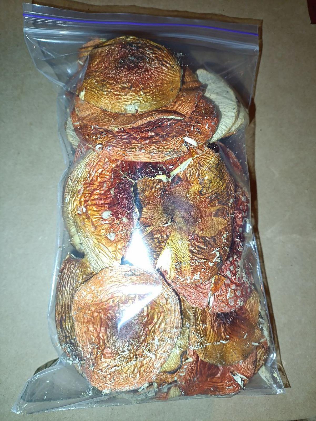 МУХОМОР ЧЕРВОНИЙ-КАПЕЛЮШКИ РОЗКРИТІ-50+5(бонус)грм