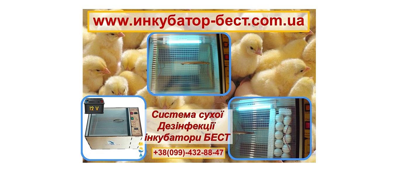 Egg Incubators from the Ukrainian Manufacturer BEST