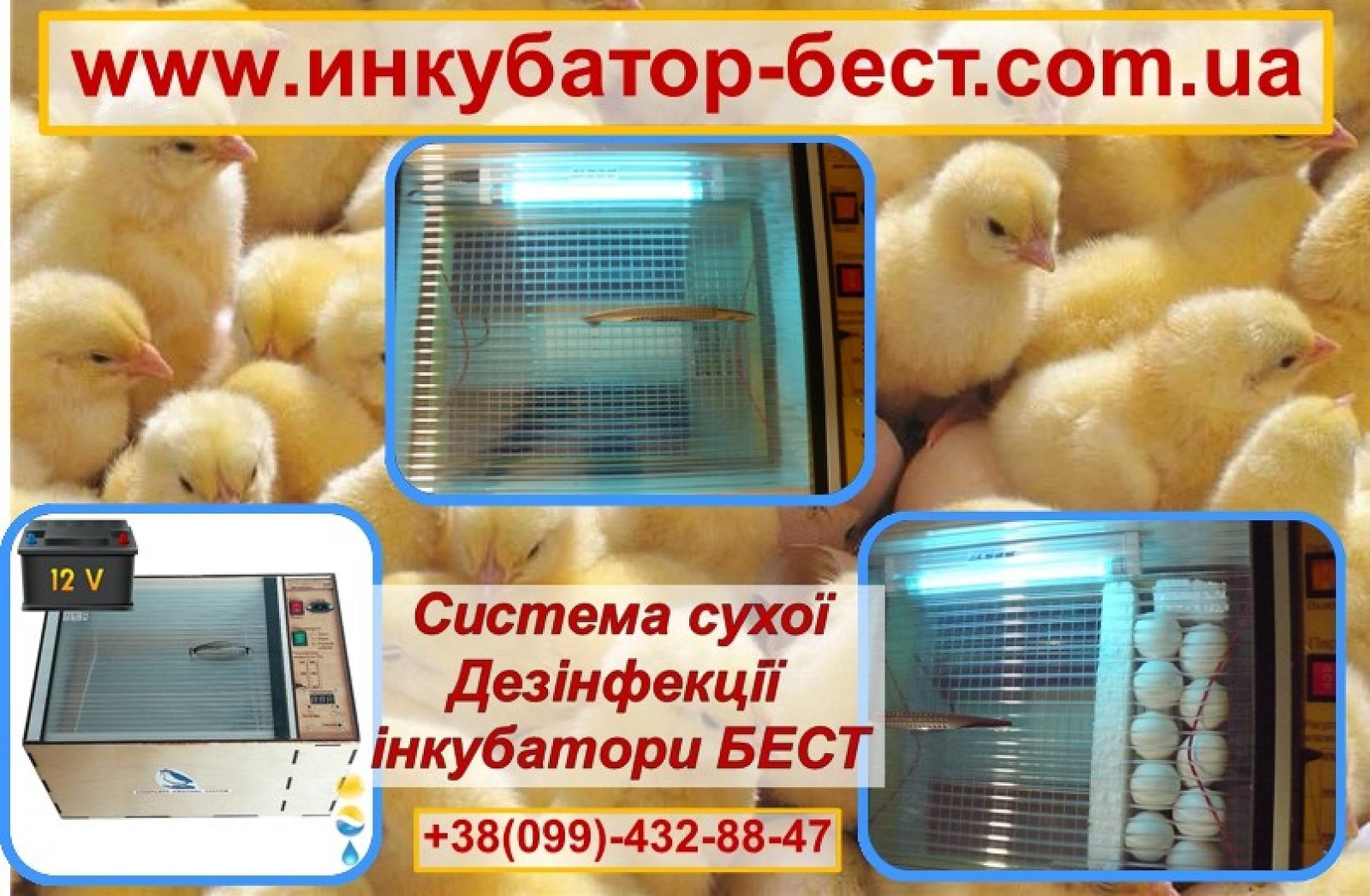 Дезінфектор - стерилізатор для інкубаторів та яєць УФ 4 w