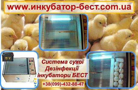 Дезінфектор - стерилізатор для інкубаторів та яєць УФ 4 w