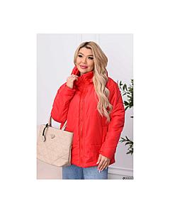 Куртка (88216)