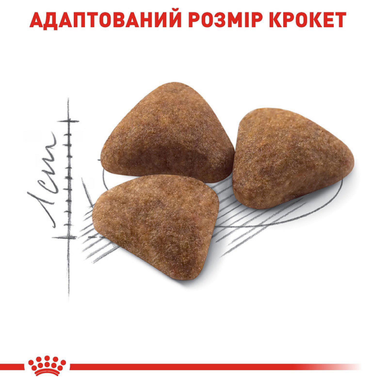 Royal Canin Indoor 27 Корм