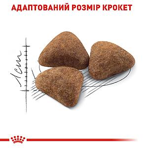 Royal Canin Indoor 27 Корм
